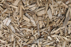 biomass boilers Tregonce